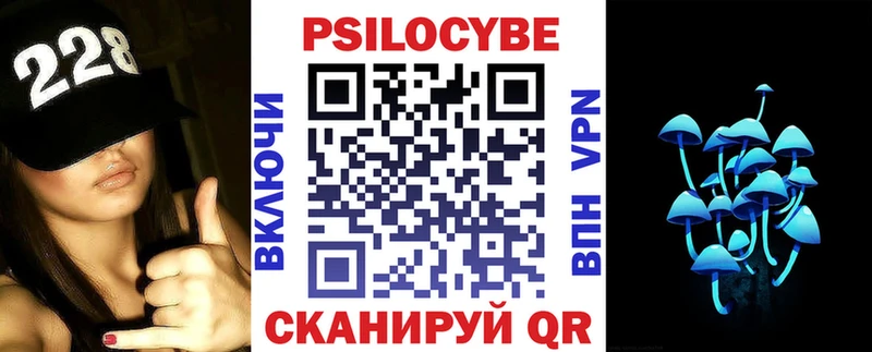 Псилоцибиновые грибы Cubensis  Катав-Ивановск 